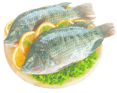 Fish Tilapia Whole Previously Frozen Service Case - 2. Lb