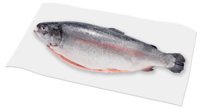 Fish Trout Rainbow Whole Fresh Service Case - 1 Lb - Image 1