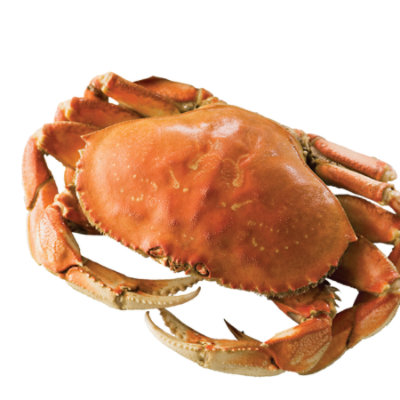 Seafood Service Counter Crab Dungeness Whole Cooked Frozen 1 Count - 2.00 LB