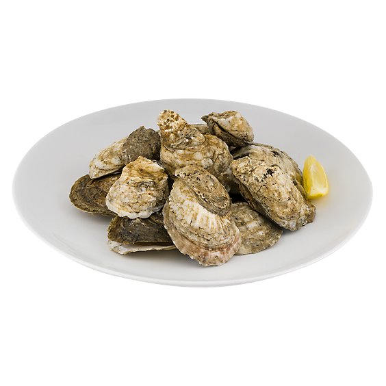 Oyster Shell On 1 Oz Fresh 1 Count - Each