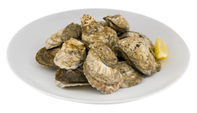 Oyster Shell On 1 Oz Fresh 1 Count - Each