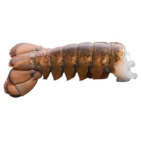 Seafood Service Counter Lobster Tail Raw 10-12 Ounce Previously Frozen