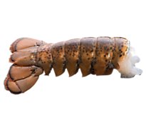 Seafood Service Counter Lobster Tail Raw 10-12 Ounce Previously Frozen