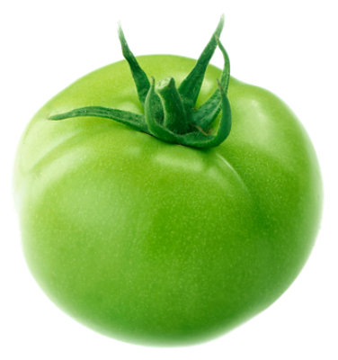 Tomatoes Green