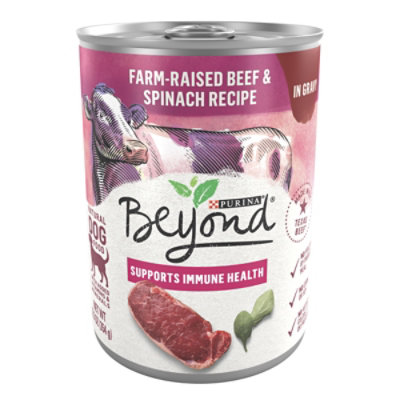 Purina Beyond Grain Free Beef And Spinach Dog Wet Food - 12.5 Oz - Image 1