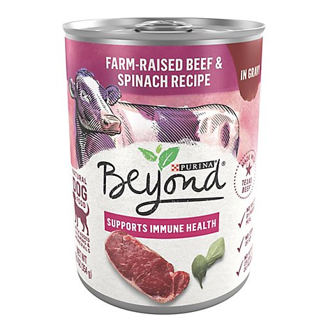 Beyond Grain Free Beef & Spinach Wet Dog Food - 12.5 Oz