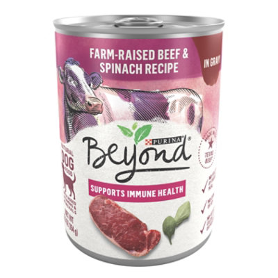 Purina Beyond Grain Free Beef And Spinach Dog Wet Food - 12.5 Oz