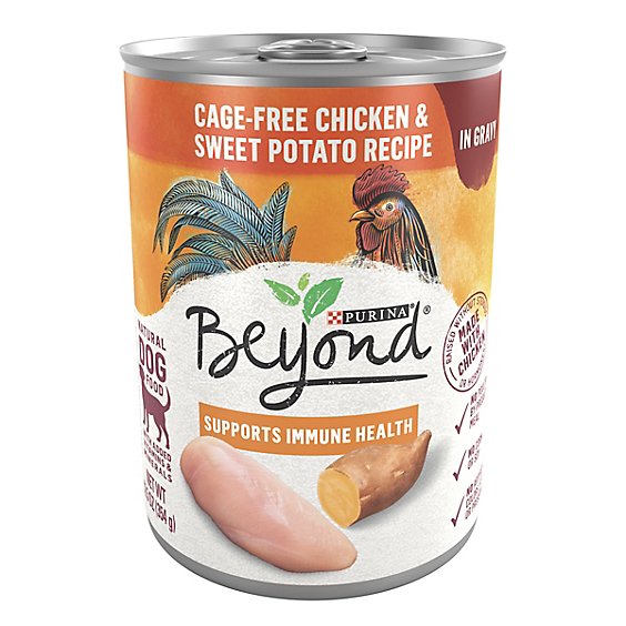 Purina Beyond Grain Free Chicken And Sweet Potato Dog Wet Food - 12.5 Oz