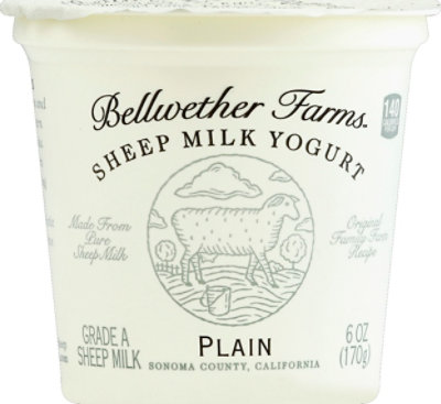 Bellwether Farms Yogurt Sheep Plain - 6 Oz - Image 2