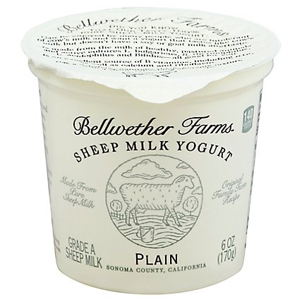 Bellwether Farms Yogurt Sheep Plain - 6 Oz - Image 1