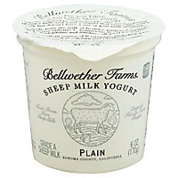 Bellwether Farms Yogurt Sheep Plain - 6 Oz - Image 1