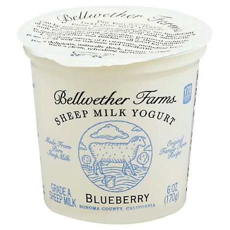 Bellwether Farms Yogurt Sheep Bluebry - 6 Oz