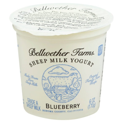 Bellwether Farms Yogurt Sheep Bluebry - 6 Oz
