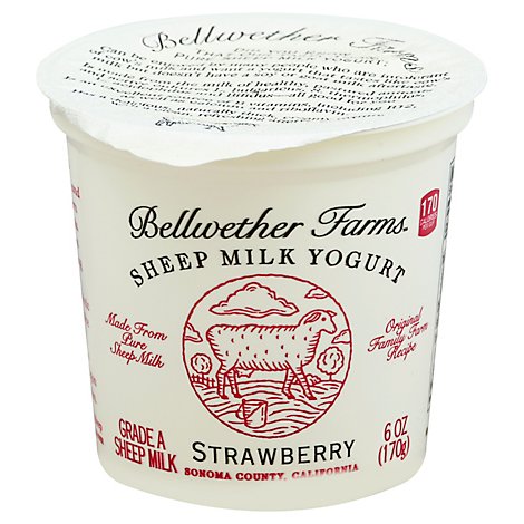 Bellwether Farms Yogurt Sheep Strwbry - 6 Oz