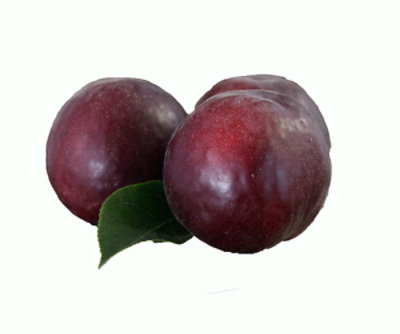 Apricots Black Velvet