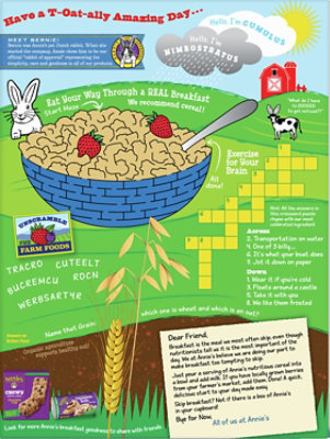 Annies Homegrown Cereal Organic Frosted Oat Flakes - 10.8 Oz - Image 6