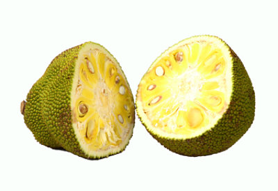 Jackfruit