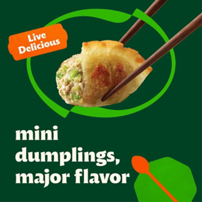 Bibigo Pork & Vegetable Mini Wontons - 24 Oz - Image 2