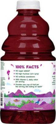 Juicy Juice Grape Juice - 48 Fl. Oz. - Image 6