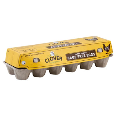Clover Cage Free Eggs Large Brown  - 12 Count