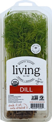 Living Dill Clamshell Organic - Each - Image 2