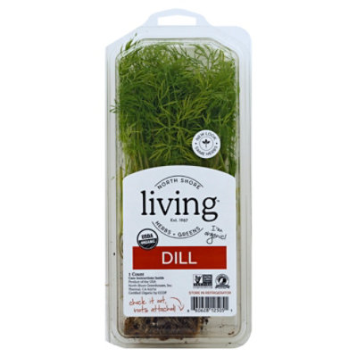 Living Dill Clamshell Organic - Each