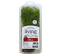 Living Dill Clamshell Organic - Each