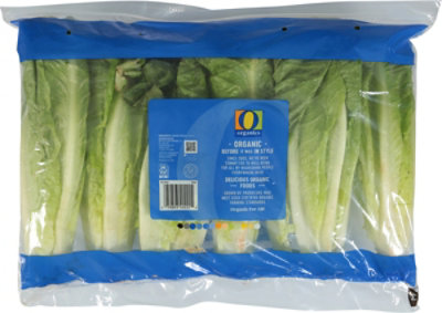 O Organics Organic Romaine Hearts - 6 Count - Image 4