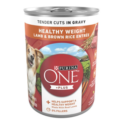 Purina ONE Tender Cuts Lamb & Brown Rice Wet Dog Food - 13 Oz - Image 1