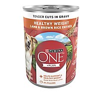 Purina ONE Tender Cuts Lamb & Brown Rice Wet Dog Food - 13 Oz
