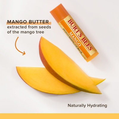 Burt's Bees Mango Lip Balm 2 Pack - 0.15 Oz - Image 3