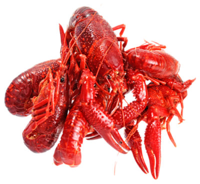 Crawfish Frozen - 1 Lb - Image 1