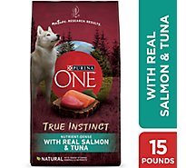Purina ONE Smartblend Salmon & Tuna Dry Dog Food - 15 Lb