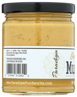 Paradigm Mustard Garlic Dill - 10 Oz - Image 2