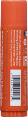 Dr. Bronner's Orange Ginger Organic Lip Balm - 0.15 Oz - Image 5