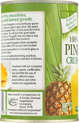 Native Forest Organic Pineapple Crushed - 14 Oz - Image 3