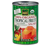 Native Forest Organic Fruit Salad Tropical - 14 Oz