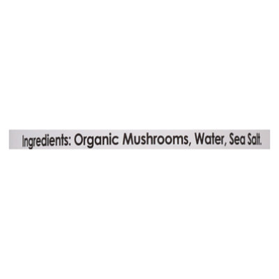 NATIVE FOREST Organic Mushrooms Pieces & Stems White - 4 Oz - Image 5