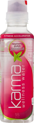 Karma Wellness Water Body Raspberry Guava Jackfruit - 18 Fl. Oz.