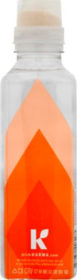 Karma Wellness Water Mind Orange Mango - 18 Fl. Oz. - Image 6