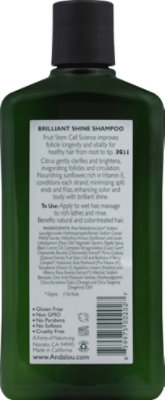 Andalou Naturals Shampoo Shine Snflwr Ctrs - 11.5 Oz - Image 3