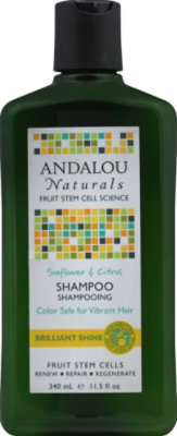 Andalou Naturals Shampoo Shine Snflwr Ctrs - 11.5 Oz - Image 2