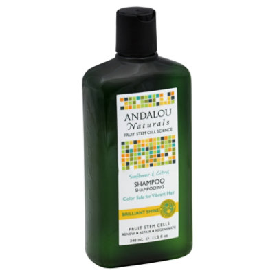 Andalou Naturals Shampoo Shine Snflwr Ctrs - 11.5 Oz - Image 1