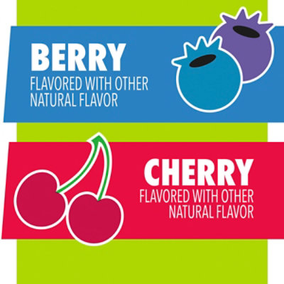 Yoplait Go-Gurt Yogurt Low Fat Nickelodeon Teenage Mutant Ninja Turtles Berry/Cherry - 16-2 Oz - Image 2