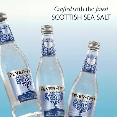 Fever Tree Club Soda - 16.9 Fl. Oz. - Image 2