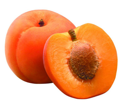 Apricot Large