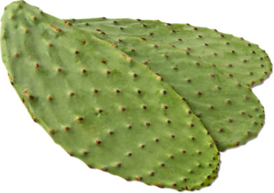 Lemonade Plus CRV - 16 Fl. Oz. (340 Cal)