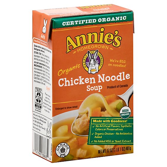 Annies Homegrown Soup Organic Chicken Noodle - 17 Oz