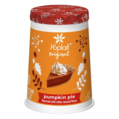 Yoplait Original Pumpkin Pie - 6 Oz - Image 3