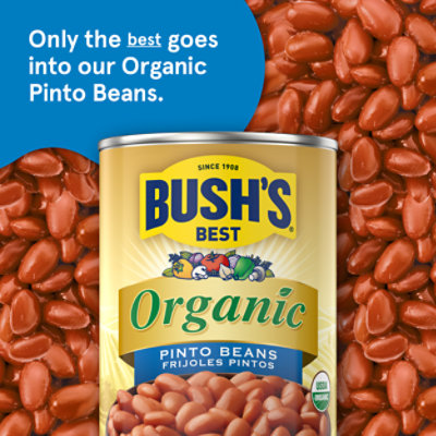 Bush's Organic Pinto Beans - 15 Oz - Image 3